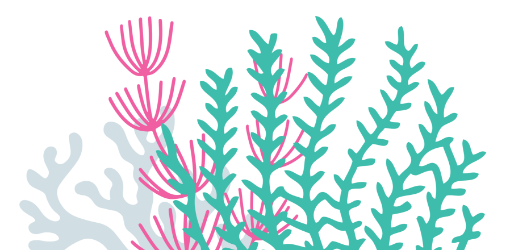 coral illustration